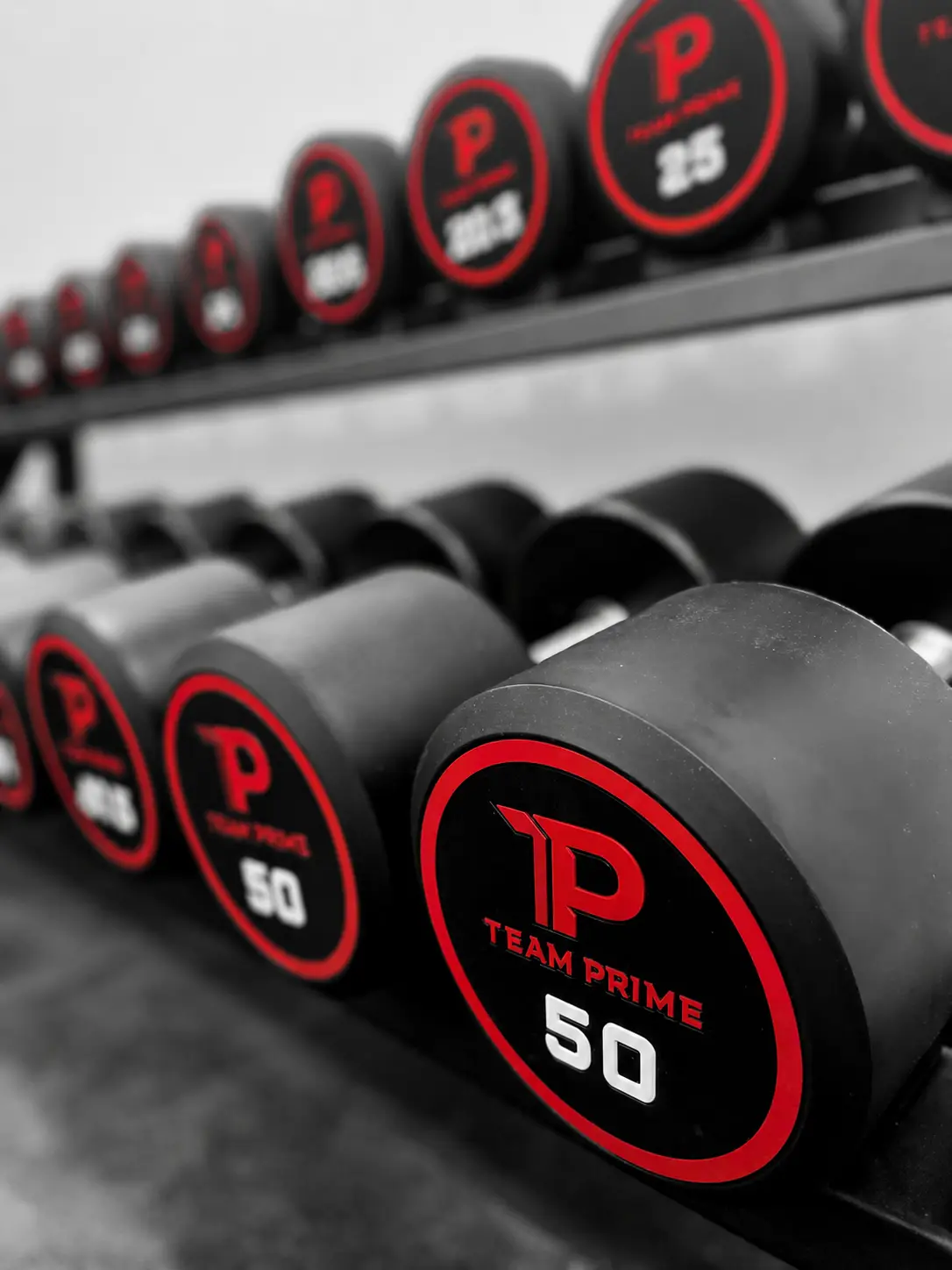 Team Prime 50 kilogram dumbbells at the Ascot Vale strength gym