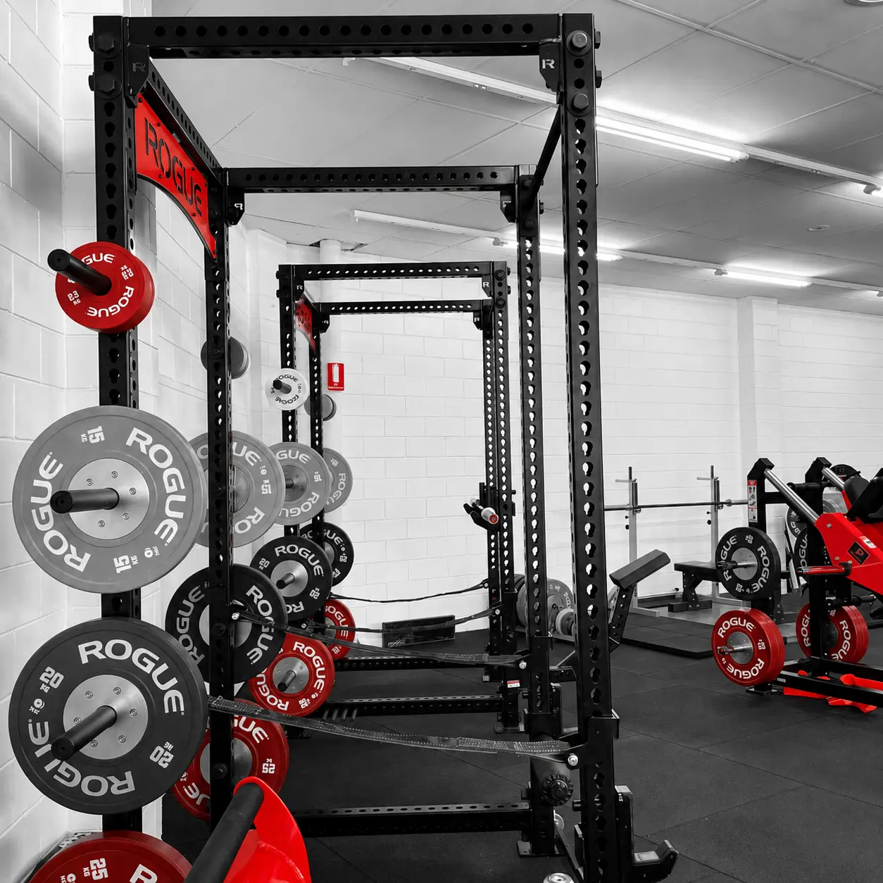 Rogue Fitness racks and calibrated plates at Team Prime Gym